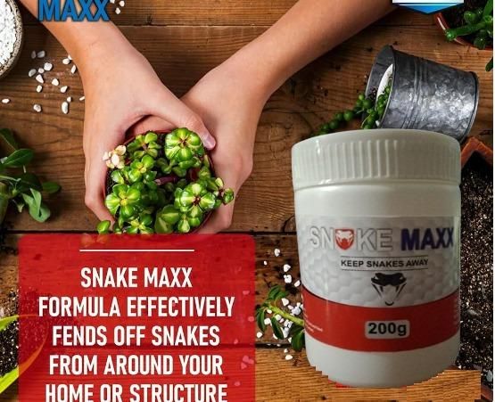 Hot Sale 60% Off-Drive Snake Powerfull Repellent
