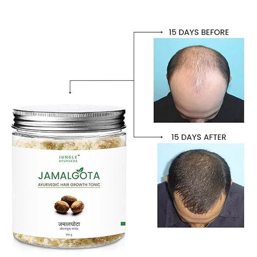 Jamalgota Ayurvedic Hair Growth Powder (Buy 1 Get 1 Free)